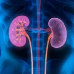 Kidney Disease: Causes, Symptoms, and Treatment