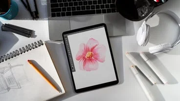 Exploring Procreate: The digital canvas for creators